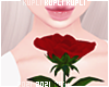 $K Valentine Rose
