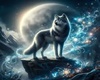 ROOM LOUP