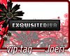 j| Exquisitediva