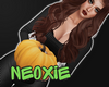 NX - Pumpkin 4 poses O.