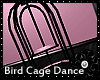 Flirty Bird Cage