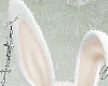 ® Bunny Khaki