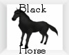 Ella  Black Horse