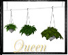 !Q Ceiling Plants