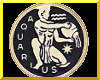(VV) Zodiac Aquarius