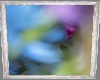 Abstract Floral Pic~