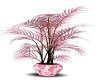 Pink Plant 