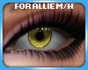 Allie eyes - Yellow