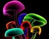 rainbow mushrooms p