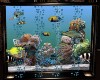 LC-Swim with Fish Tank