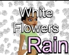 Rain White Flowers