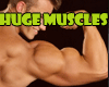 HUGE MUSCLES