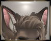 Rokka Ears V.1