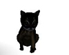{Crim} Pet Cat black