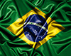 Brazil Flag ( Bandeira )