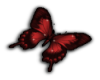 Red butterfly L