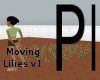 PI - Moving Lilies v1