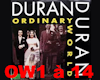 Ordinary world