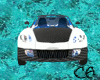 Ca`Animated Car