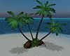 Sunset Beach Palm Trees
