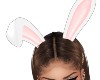ll Easter Ears