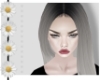 Daphne ∞ Gray