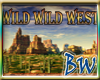 Wild West Dome DJ