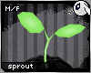~Dc) Head Sprout m/f