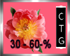 CTG  SEAT FLOWER 30- 60%