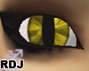 [RDJ] Eye F16