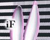 Bunny Pink Bundle