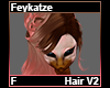 Feykatze Hair V2 F