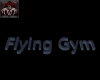 Flying Gym