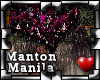 !P Manton de Manila 9