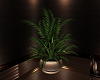 LUX POTTED PLANT