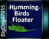 [BD]HummibirdsFloater
