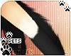 [Pets] Zorro | arm fluff