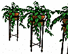 Deco Plant with Stand.