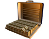 Briefcase-O-Money