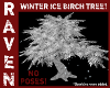 WINTER ICE BIRCH TREE!