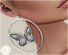 £. Butterfly Earrings