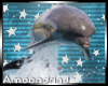 AM:: Dolphin Enhancer