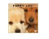 Puppy Love