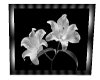 (M) 2 framed lillies