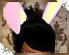 MBC -Bunny Ears Big