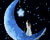[AP]In the Moon+Stars