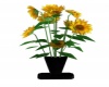 {LS} Sunflower Vase
