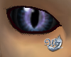 Zephyr Dragon Eyes
