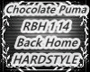 Chocolate  backhome
