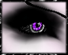 purple  eyes M